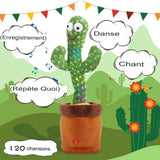 CactusGroove™ - Cactus Dansant et Parlant - Bébé Ange