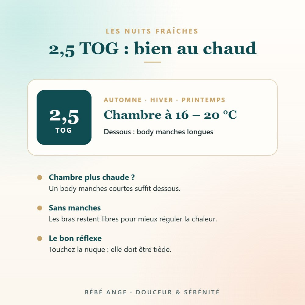 Gigoteuse 2,5 TOG pour les nuits fraîches - Bébé Ange