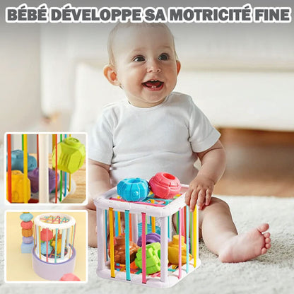 MontessoriSens - Cube sensoriel et Éducatif (12 à 24 Mois) - Bébé Ange