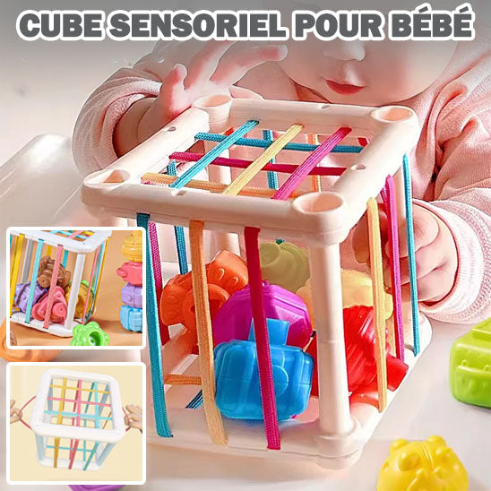 MontessoriSens - Cube sensoriel et Éducatif (12 à 24 Mois) - Bébé Ange